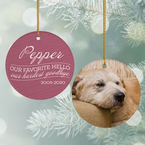 Our Favorite Hello, Hardest Goodbye' Dog Ornament