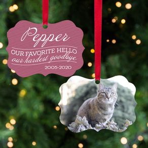 Our Favorite Hello, Our Hardest Goodbye - Pink Cat Ornament