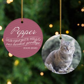 Our Favorite Hello, Hardest Goodbye' Cat Ornament