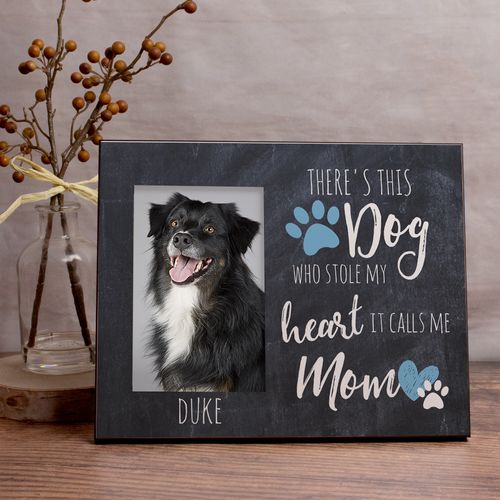 Personalized This Dog Stole my Heart Picture Frame