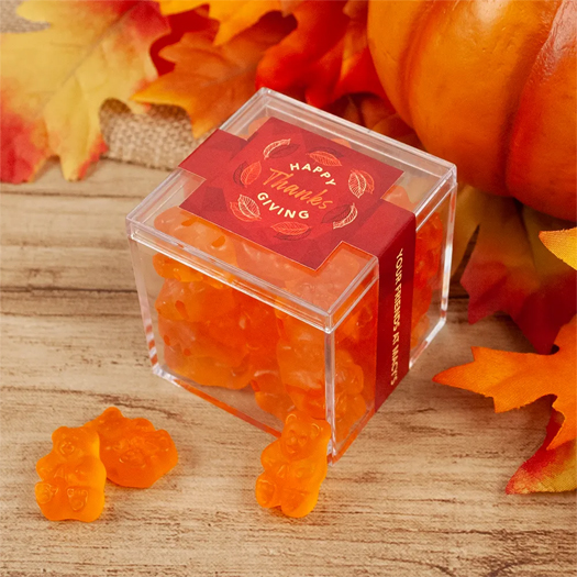 Thanksgiving  JUST CANDY® favor cubes