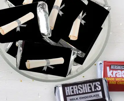 Hershey's Miniatures